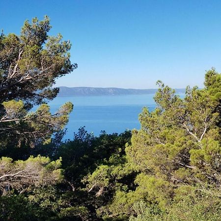 Apartment Gal Podgora Dış mekan fotoğraf