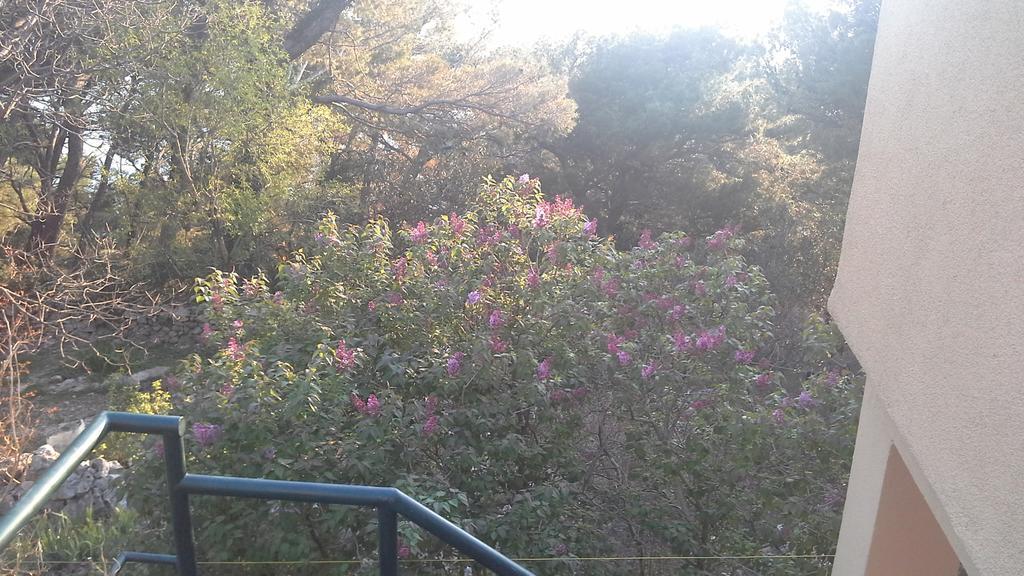 Apartment Gal Podgora Dış mekan fotoğraf