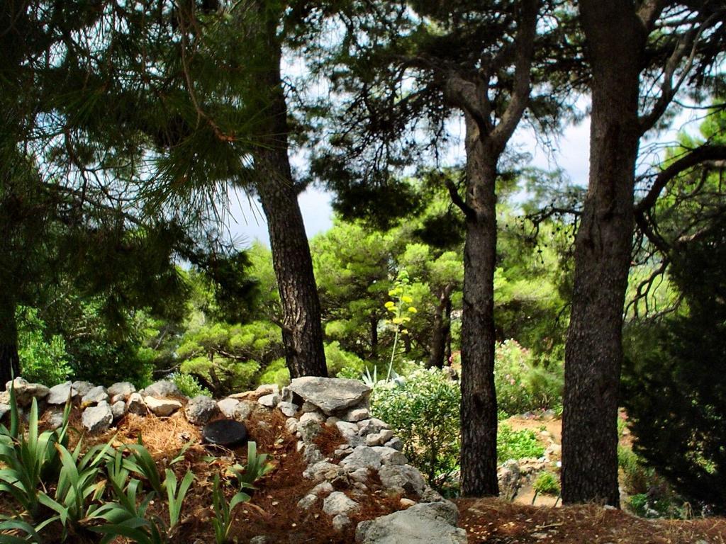 Apartment Gal Podgora Dış mekan fotoğraf
