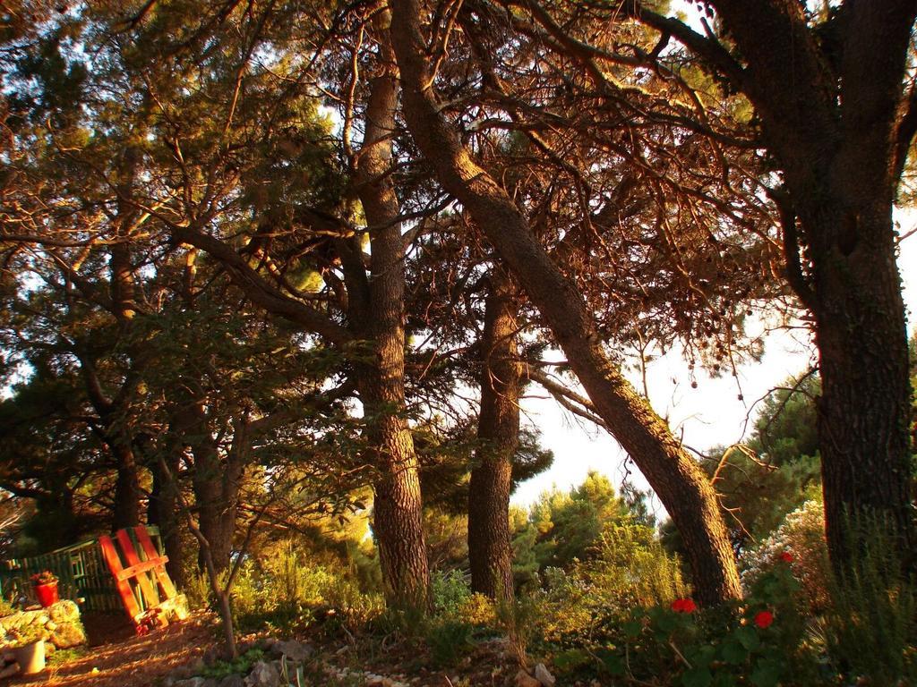 Apartment Gal Podgora Dış mekan fotoğraf