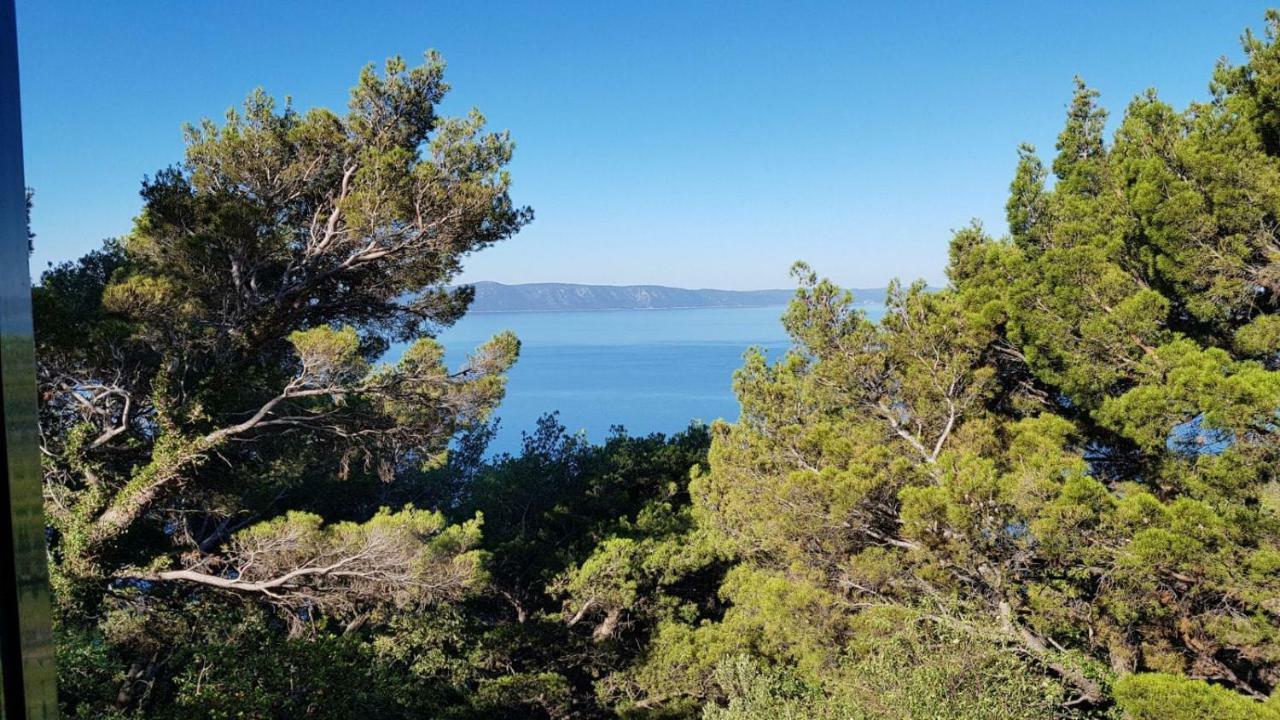 Apartment Gal Podgora Dış mekan fotoğraf