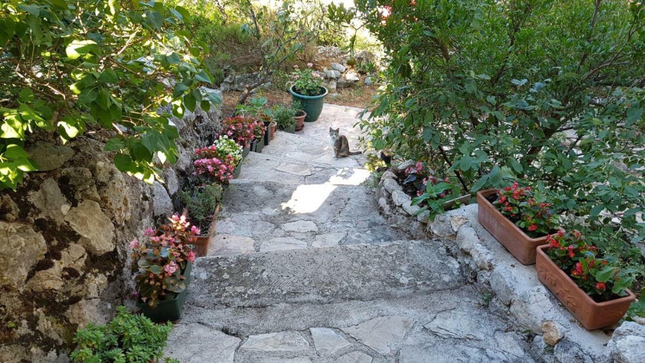 Apartment Gal Podgora Dış mekan fotoğraf